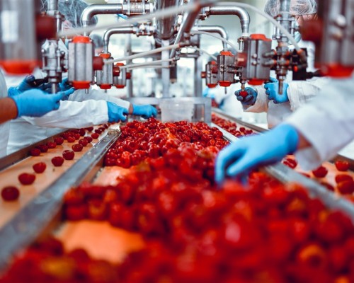 Supply Chain Operators